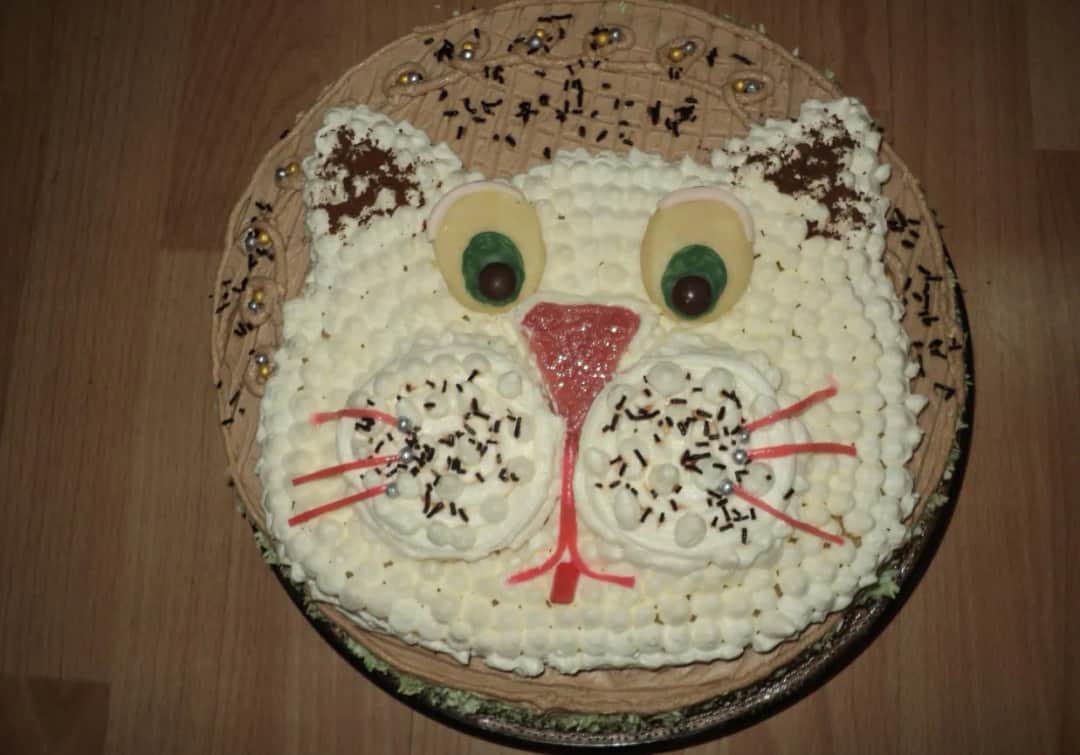 Jak zrobić tort kotek – prosty przepis i dekoracja krok po kroku